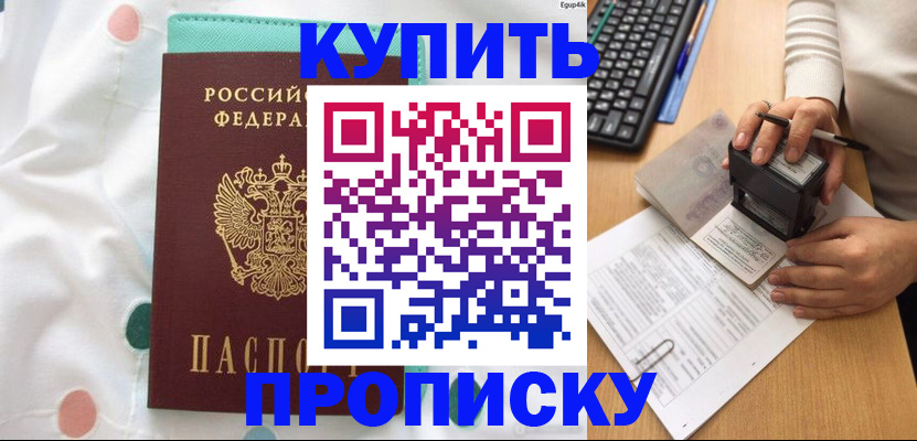 прописка в квартире в Мончегорске